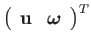 $\displaystyle \left(\begin{array}{cc}
\mathbf{u} & \boldsymbol{\omega}\end{array}\right)^{T}$