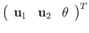 $\displaystyle \left(\begin{array}{ccc}
\mathbf{u}_{1} & \mathbf{u}_{2} & \theta\end{array}\right)^{T}$