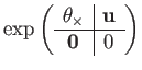 $\displaystyle \exp\left(\begin{array}{c\vert c}
\theta_{\times} & \mathbf{u}\\
\hline \mathbf{0} & 0
\end{array}\right)$